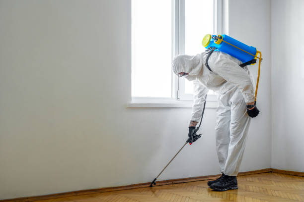 Best Flea Control Services  in Eufaula, OK