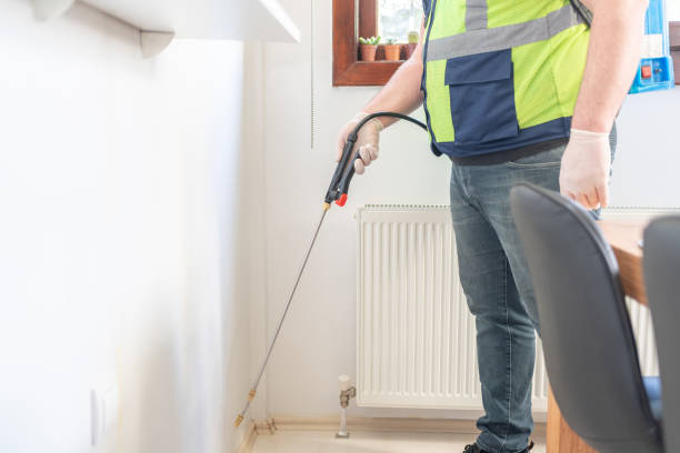 Best Wasp Removal Services  in Eufaula, OK