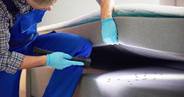 Reliable Eufaula, OK Pest Control Solutions