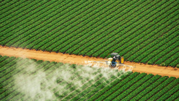 Best Pest Prevention Services  in Eufaula, OK