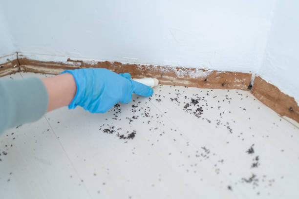 Best Pest Control Near Me  in Eufaula, OK